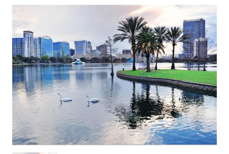 College Park-Orlando 5Star Villa Oasis - Home Away From Home - Quiet Neighborhood-Private Botanical Courtyard - Mins From Eola,Dt, Winter Park - Free Parking & Ev Plug In Exteriör bild